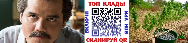 Наркошоп Сланцы ГАШ  МЕТАДОН  Меф  КОКАИН  OMG как зайти  A PVP 