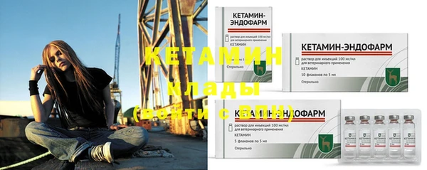 стаф Корсаков