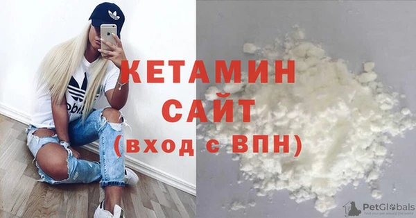 стаф Корсаков