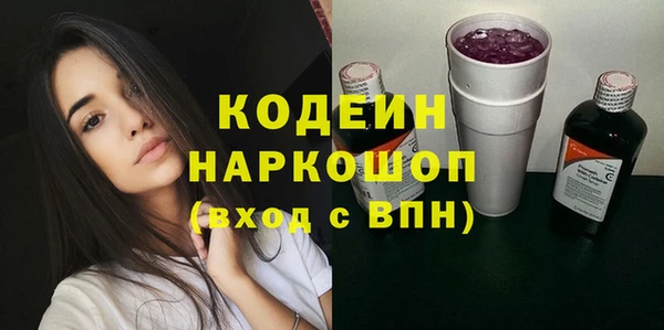 стаф Корсаков