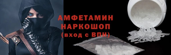 стаф Корсаков