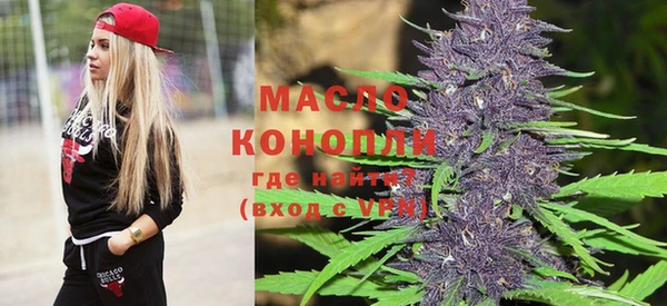 стаф Корсаков