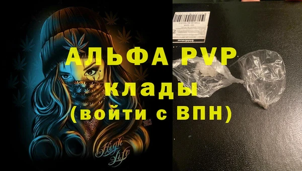 скорость Коряжма