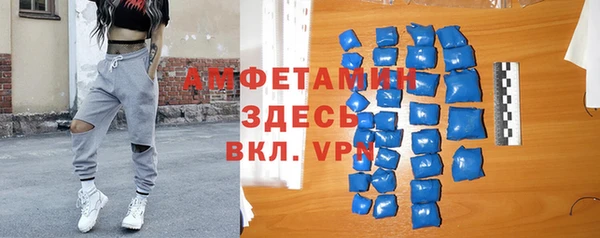 стаф Корсаков