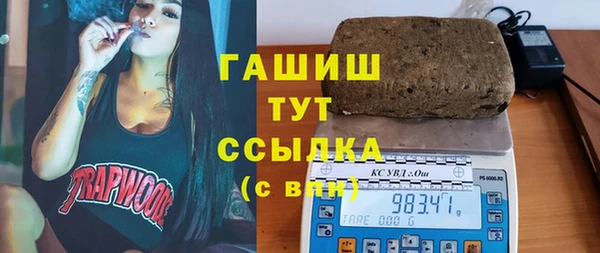 стаф Корсаков