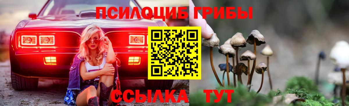 Галлюциногенные грибы Psilocybe  Вход с VPN  Сланцы 